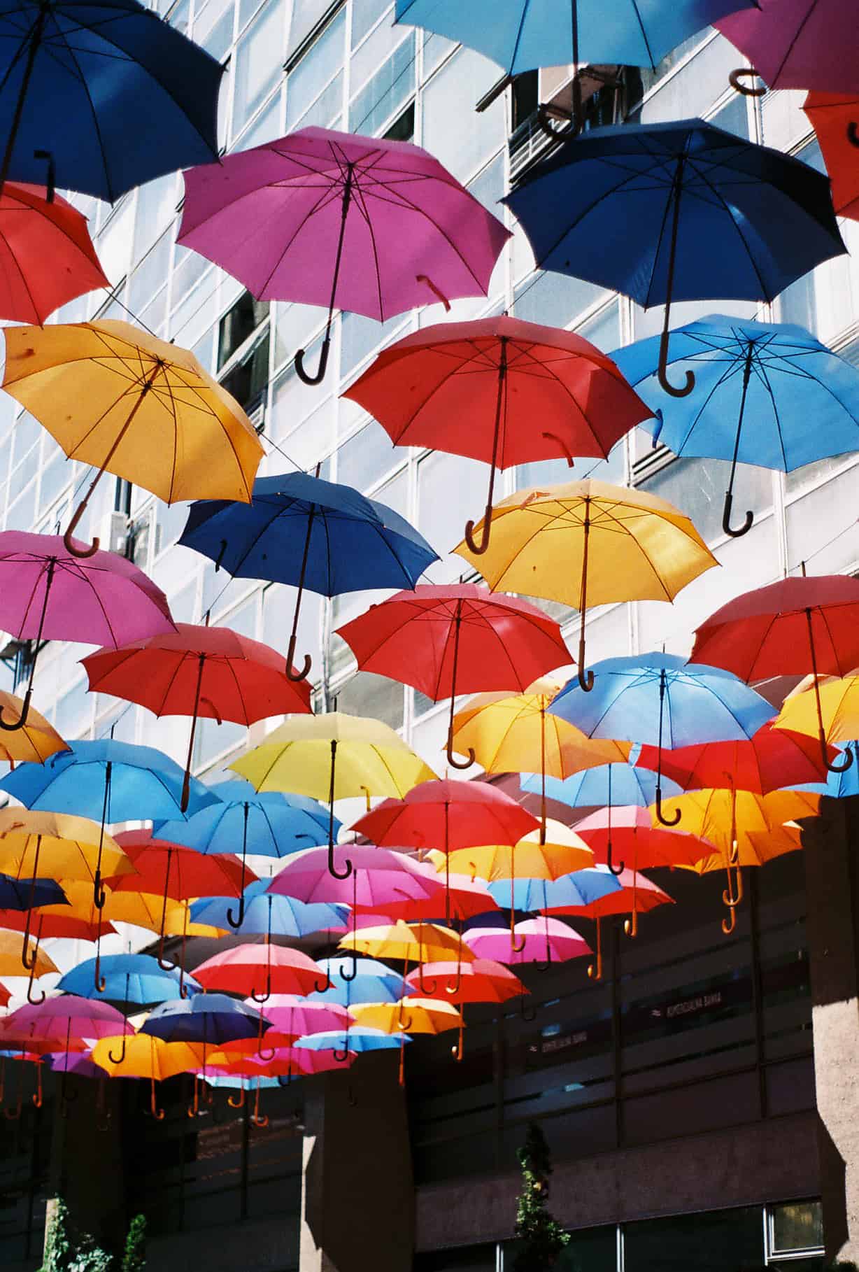 Belgrade Umbrellas