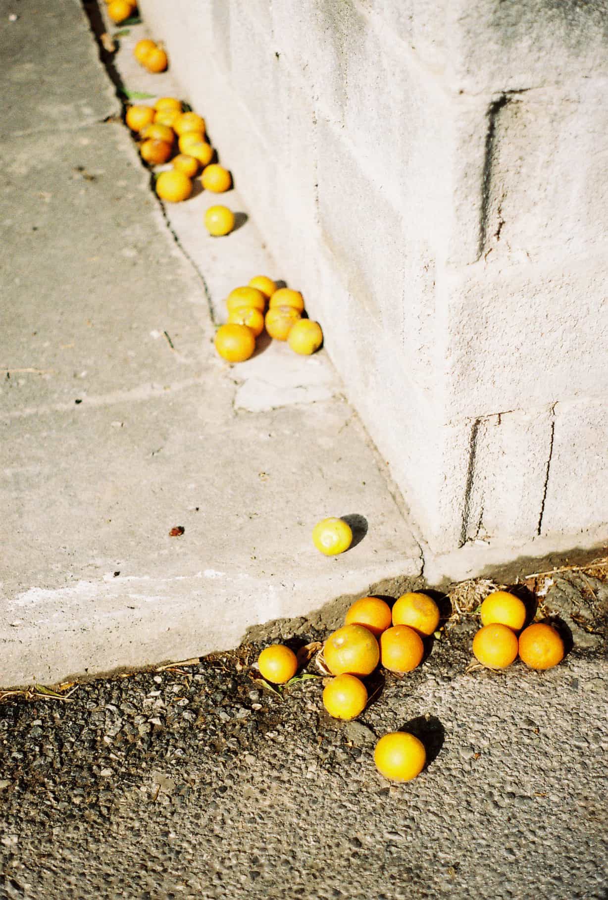 Citrus in Cyprus