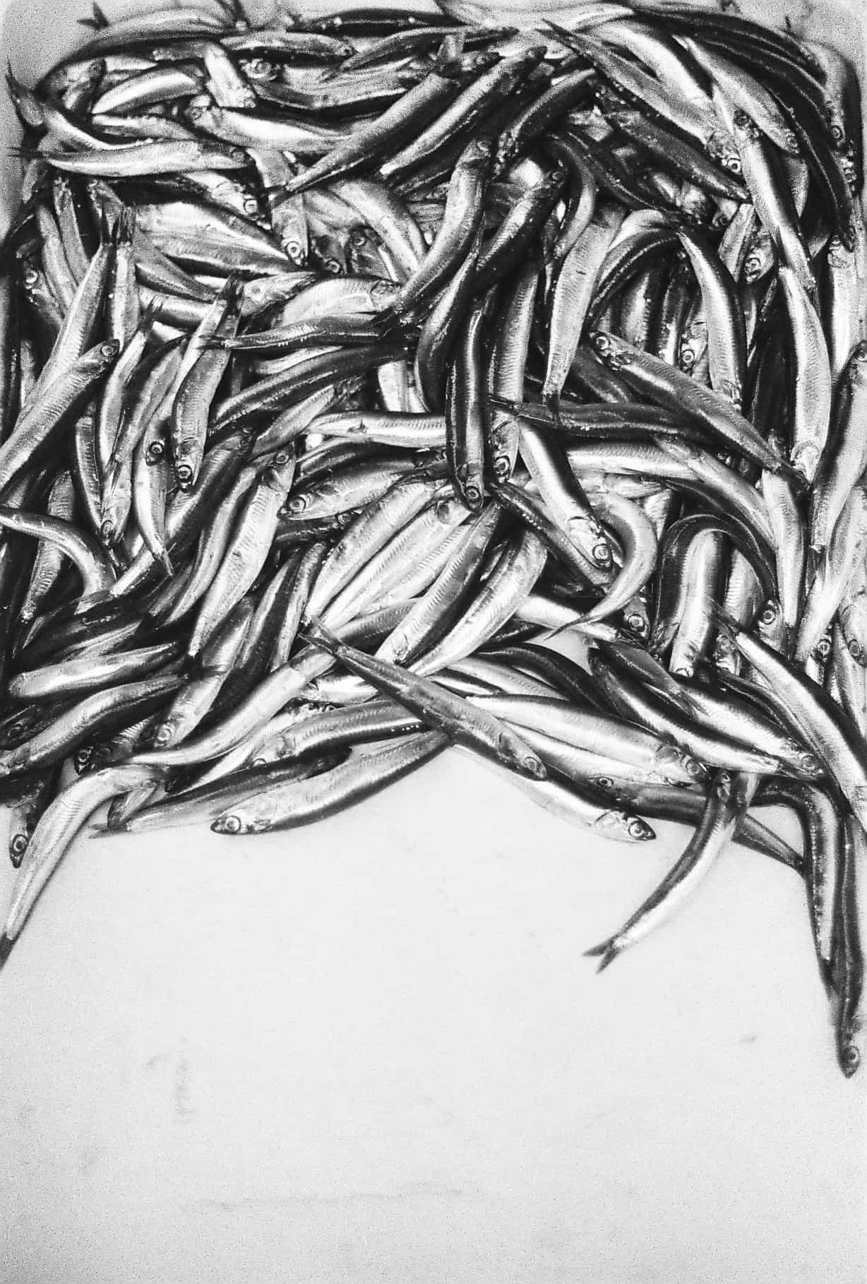 Fish at the Market (Istanbul in Black-and-White)