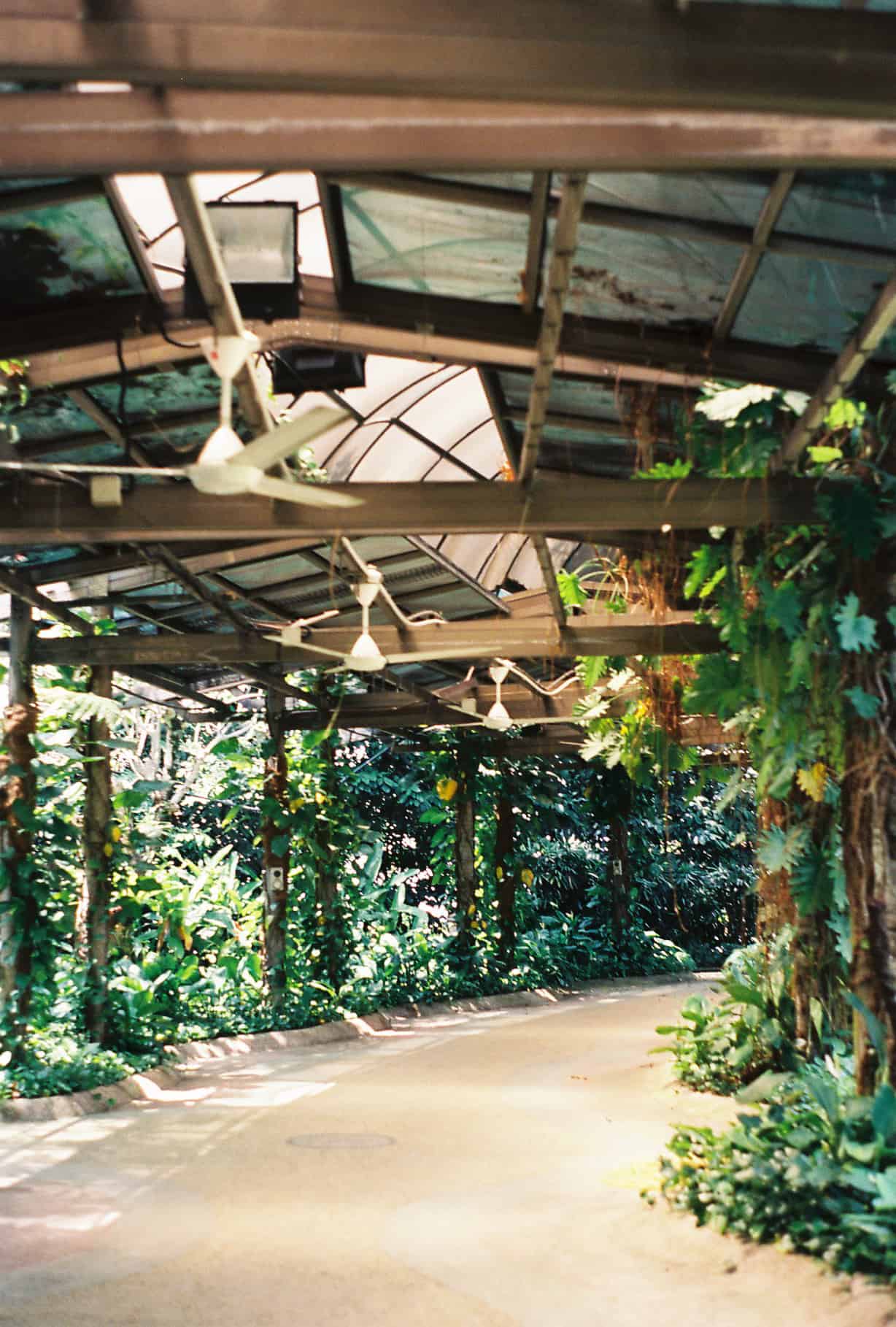 Botanical Gardens in KL (Kuala Lumpur)
